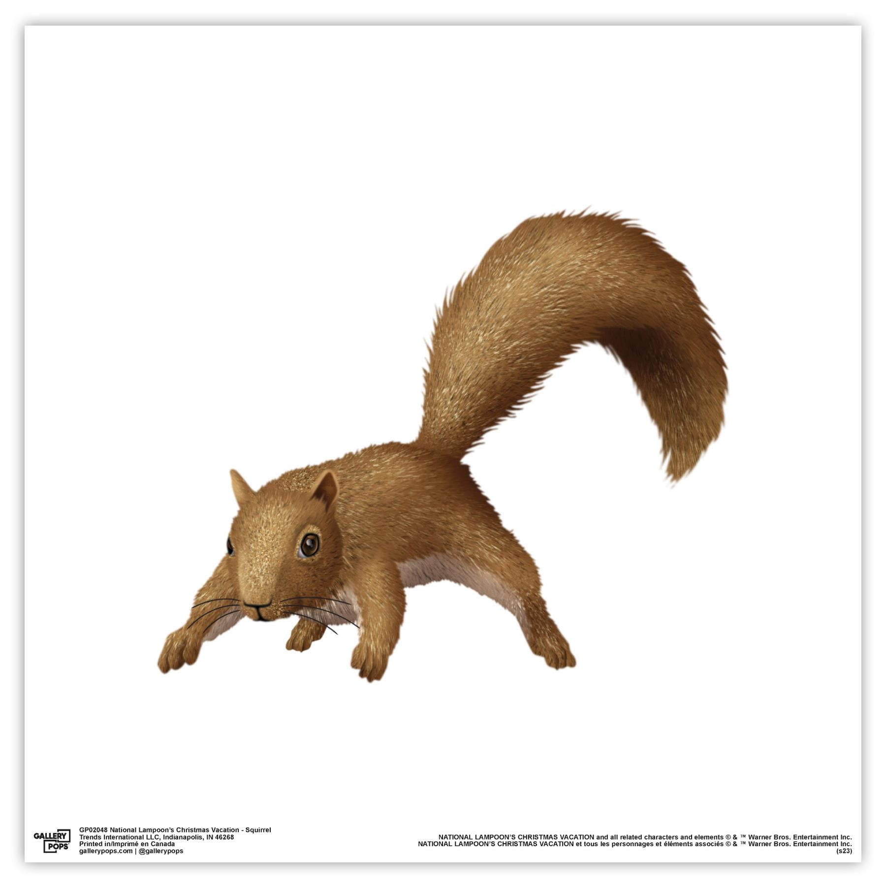 Christmas Vacation Squirrel Gif