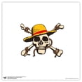 Gallery Pops Netflix One Piece - Jolly Roger Skull And Bones Icon Wall ...
