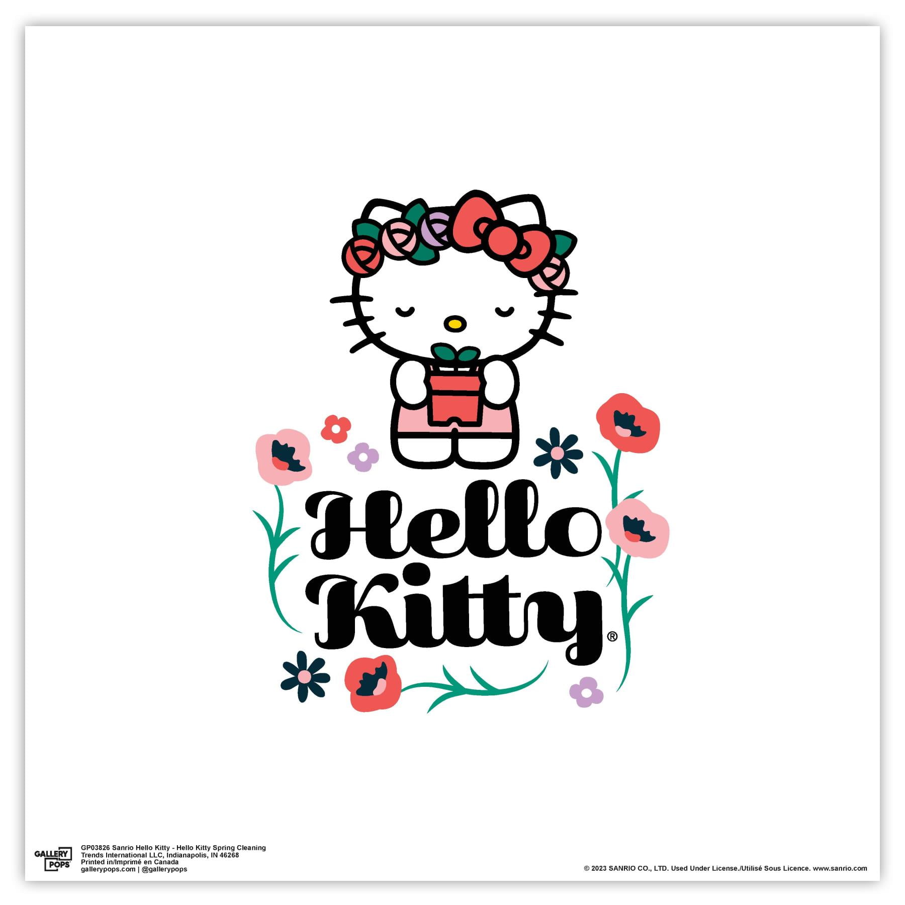 Gallery Pops Sanrio Hello Kitty - Hello Kitty Spring Cleaning Wall