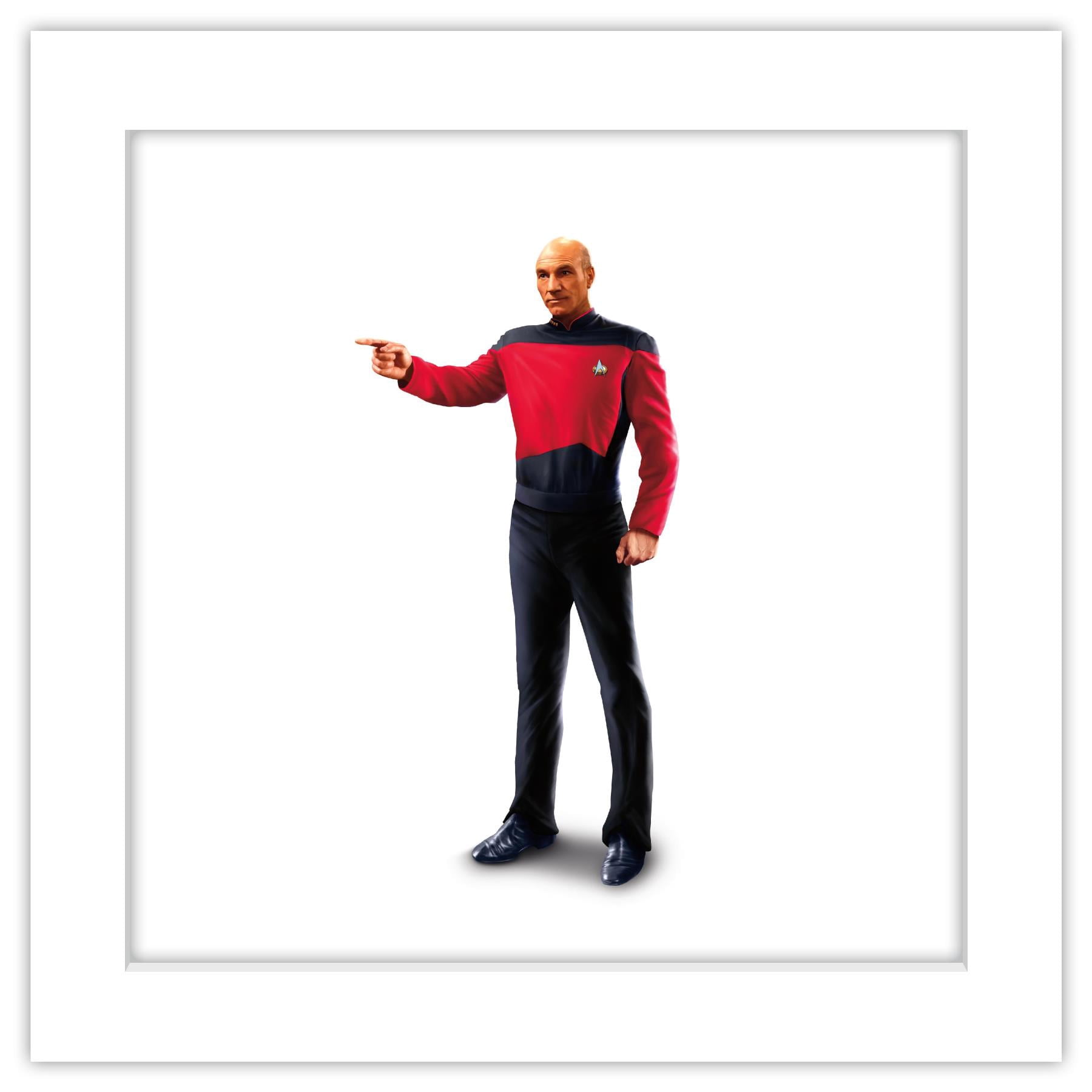 Gallery Pops Star Trek: The Next Generation - Jean-Luc Picard Wall Art ...
