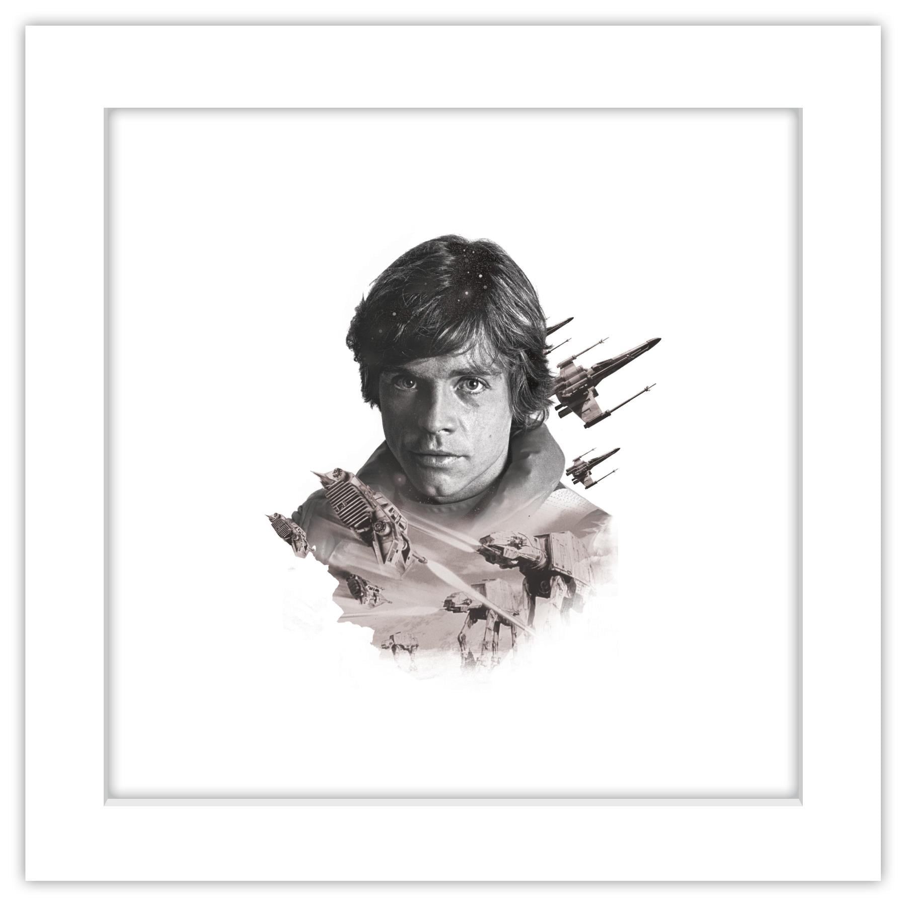 Gallery Pops Star Wars: Saga - Luke Skywalker Artistic Atmosphere