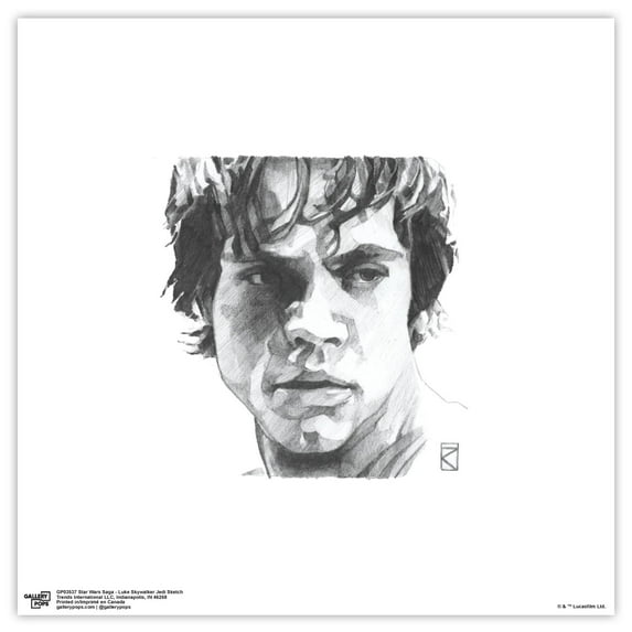 Gallery Pops Star Wars: Saga - Luke Skywalker Jedi Sketch Wall Art, Unframed Version, 12" x 12"