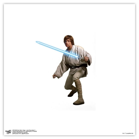 Gallery Pops Star Wars: Saga - Luke Skywalker Wall Art, Unframed Version, 12" x 12"