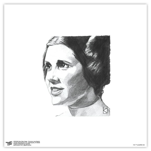 Gallery Pops Star Wars: Saga - Princess Leia Sketch Wall Art, Unframed Version, 12" x 12"