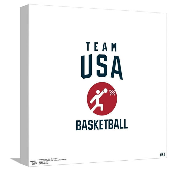 Gallery Pops Team USA - Basketball Canvas Wall Art, Unframed Version, 12" x 12"