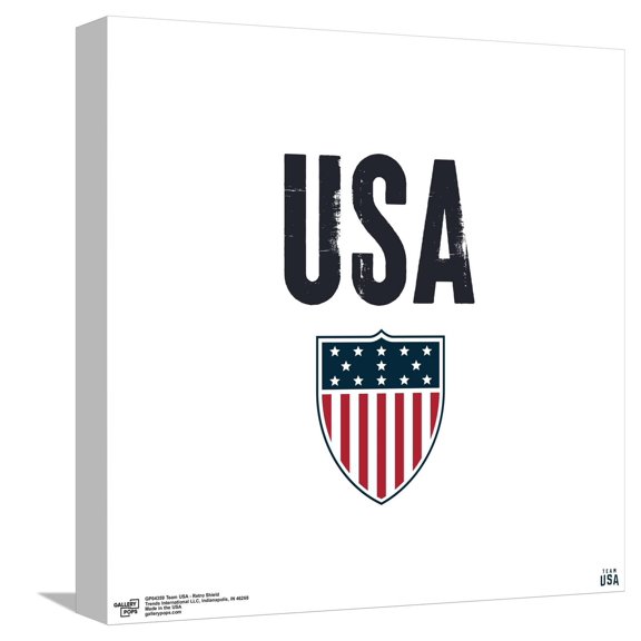 Gallery Pops Team USA - Retro Shield Canvas Wall Art, Unframed Version, 12" x 12"
