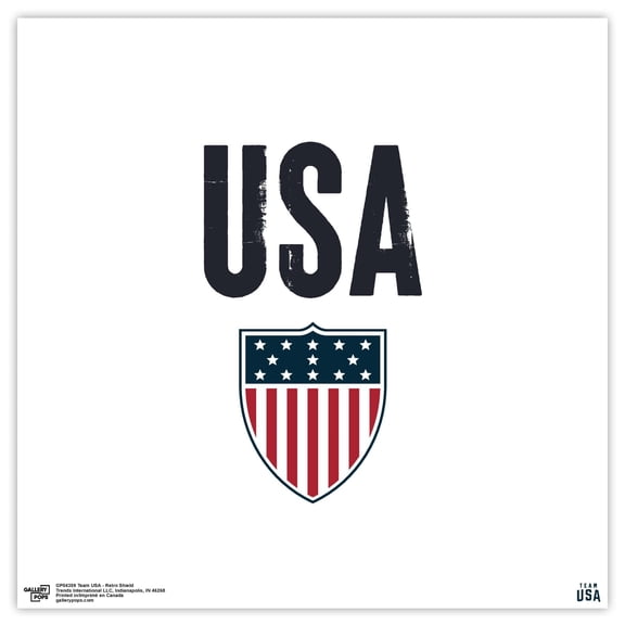 Gallery Pops Team USA - Retro Shield Wall Art, Unframed Version, 12" x 12"