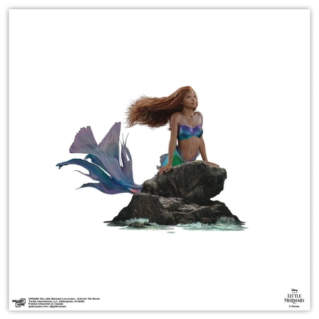 Gallery Pops The Little Mermaid Live Action - Ariel On The Rocks Wall Art, Unframed Version, 12" x 12"