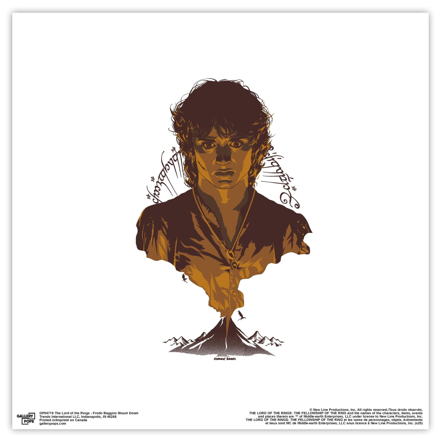 Gallery Pops The Lord of the Rings - Frodo Baggins Mount Doom Wall Art ...