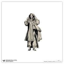 Gallery Pops The Witcher Season 1 - Ciri Woodcut Wall Art, Unframed Version, 12" x 12"