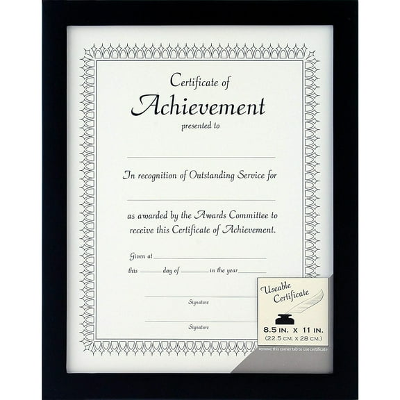 Gallery Solutions 8-1/2 by 11" Black Document Wall Frame