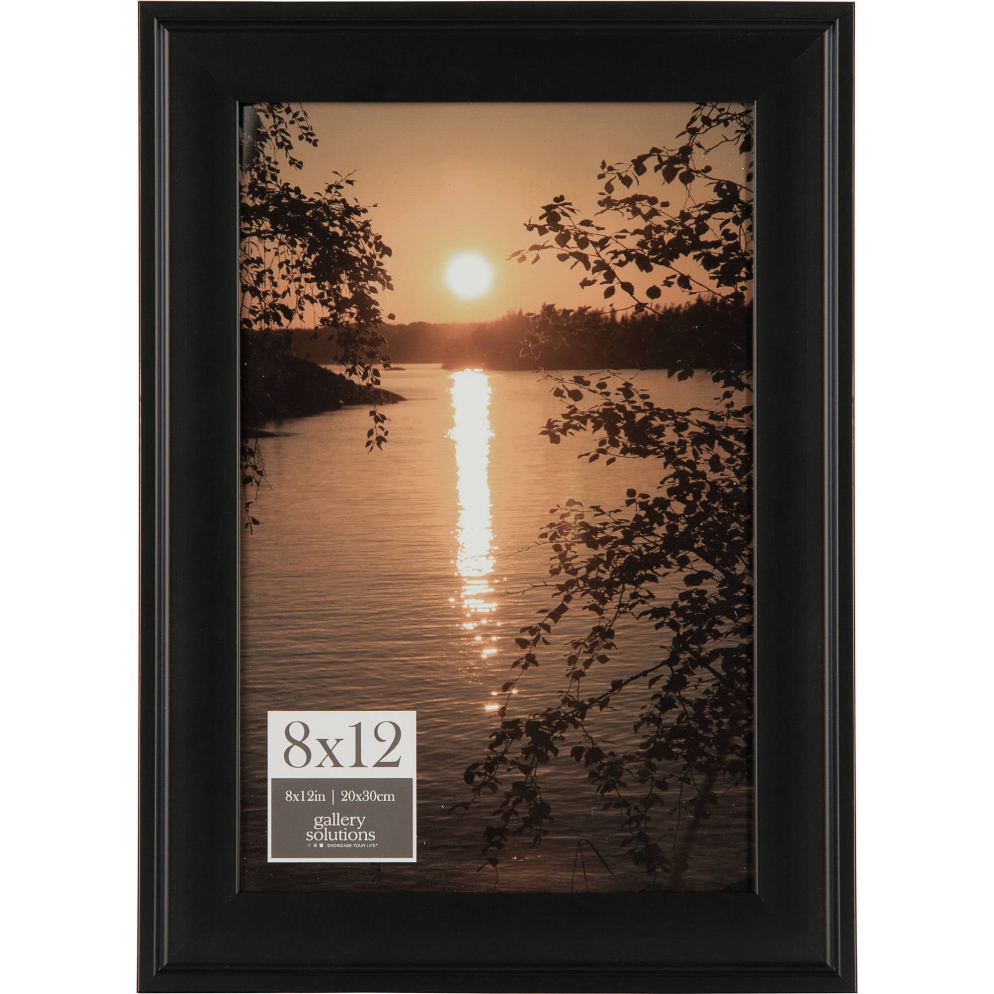 Gallery Solutions 8x12 Black Photo Frame