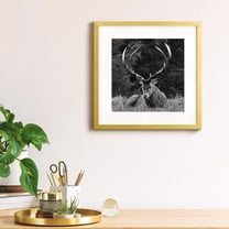 Gallery Wall Frame, Gold, Square, 16"x16", 3 Pack