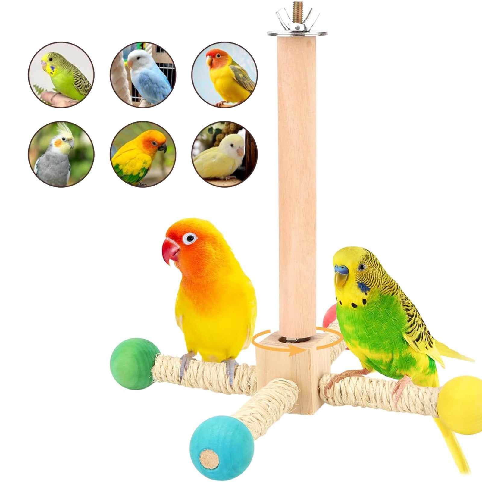 Fresh Look at Gallickan Parrot Gym Perch 360 Rotating Wooden Play Stand With