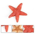 thumbnail image 1 of Elainilye Starfish Models, Realistic Starfish Simulation Toys, Pool Starfish Decoration, Life Science Education Models, Red, 1 of 7