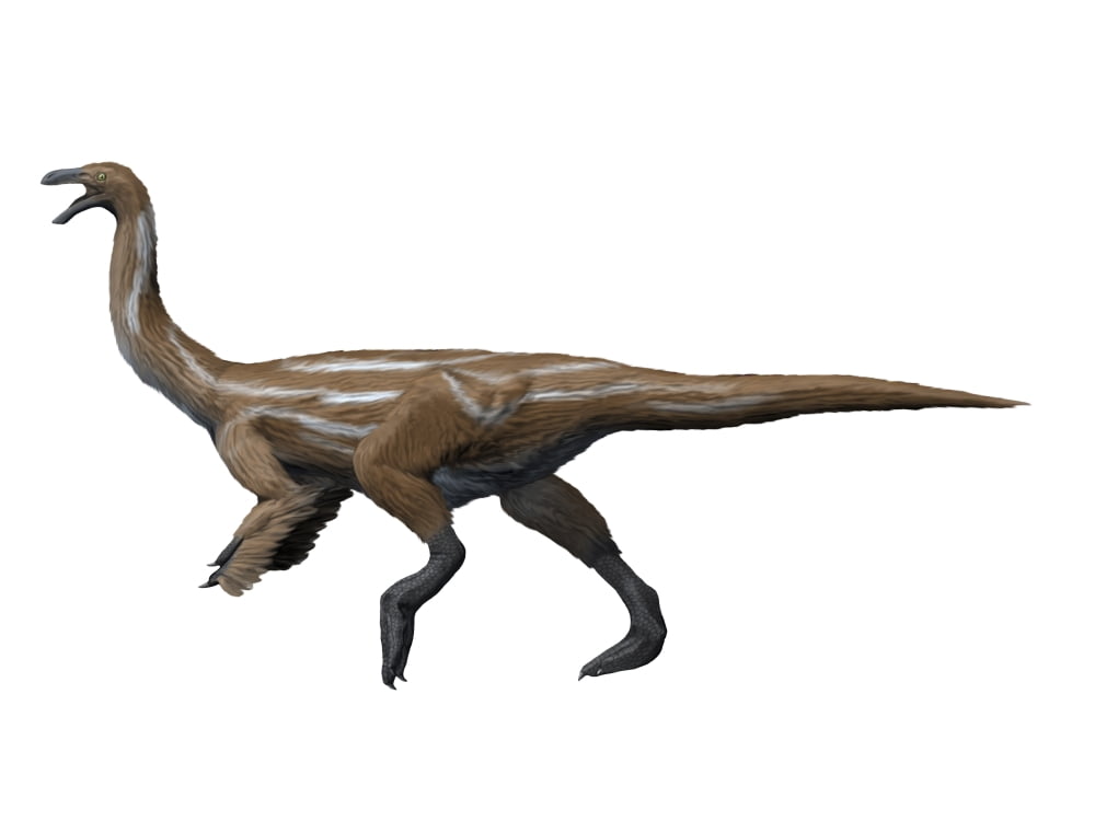 Gallimimus dinosaur Canvas Art - Nobumichi TamuraStocktrek Images (17 x 13)