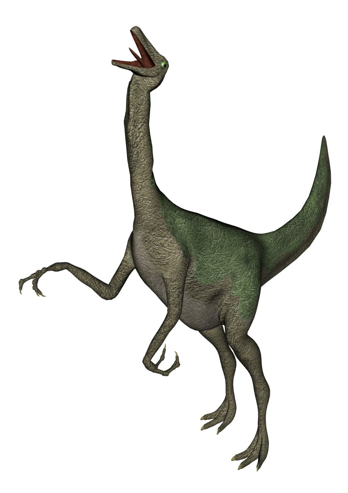 Gallimimus dinosaur roaring Canvas Art - Elena DuvernayStocktrek Images (24 x 33)