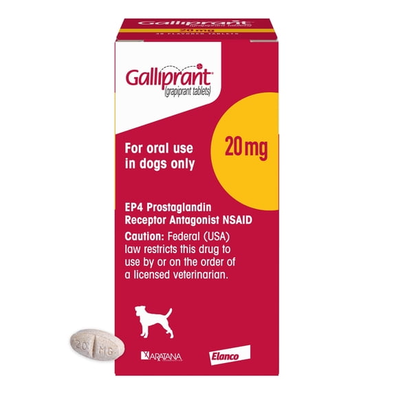 Galliprant Osteoarthritis Pain & Inflammation Control for Dogs | 20mg | 90 Flavored Tablets