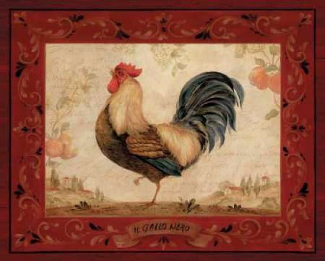 Gallo Nero Canvas Art - Pamela Gladding (24 x 30)