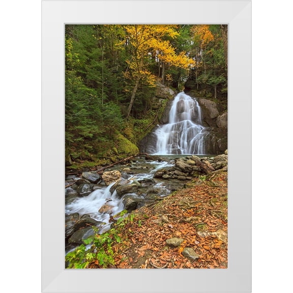Galloimages Online 11x14 White Modern Wood Framed Museum Art Print Titled - Moss Glen Falls in VT