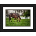 thumbnail image 1 of Galloimages Online 14x11 Black Ornate Wood Framed with Double Matting Museum Art Print Titled - Mare And Foal Together, 1 of 4