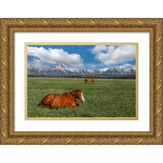 Galloimages Online 14x11 Gold Ornate Wood Framed with Double Matting Museum Art Print Titled - Teton Horses