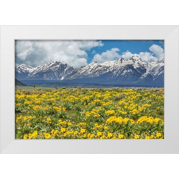 Galloimages Online 14x11 White Modern Wood Framed Museum Art Print Titled - Wild Flowers With Mountains (YNP)