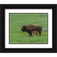 thumbnail image 1 of Galloimages Online 14x12 Black Ornate Wood Framed with Double Matting Museum Art Print Titled - Baby Bison Nursing, 1 of 4