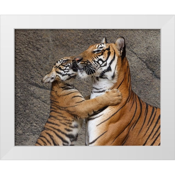 Galloimages Online 14x12 White Modern Wood Framed Museum Art Print Titled - A Kiss For Mom