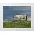 thumbnail image 1 of Galloimages Online 14x12 White Modern Wood Framed Museum Art Print Titled - Wild Horse - Stallion (Storm), 1 of 4