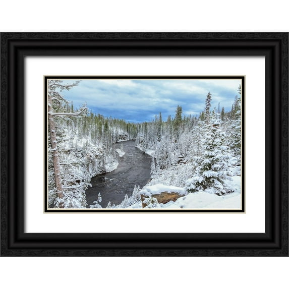 Galloimages Online 18x13 Black Ornate Wood Framed with Double Matting Museum Art Print Titled - Yellowstone Winter In Fall