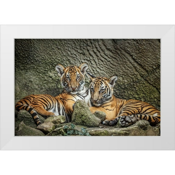 Galloimages Online 18x13 White Modern Wood Framed Museum Art Print Titled - Brothers Twosome