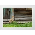 thumbnail image 1 of Galloimages Online 18x13 White Modern Wood Framed Museum Art Print Titled - Coyote By Log Cabin Door, 1 of 4