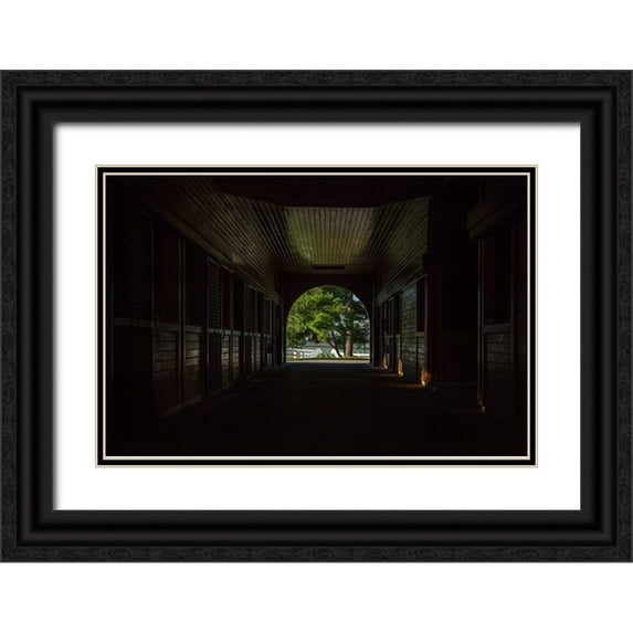 Galloimages Online 24x17 Black Ornate Wood Framed with Double Matting Museum Art Print Titled - Horse Farm Barn (Inside And Out)