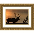 thumbnail image 1 of Galloimages Online 24x17 Gold Ornate Wood Framed with Double Matting Museum Art Print Titled - Bull Elk at Sunrise YNP, 1 of 4