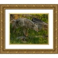 thumbnail image 1 of Galloimages Online 24x20 Gold Ornate Wood Framed with Double Matting Museum Art Print Titled - Stalking Coyote YNP, 1 of 4