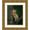 thumbnail image 1 of Galloimages Online 26x32 Gold Ornate Wood Framed with Double Matting Museum Art Print Titled - Bobcat Kitten Poses Against Tree Trunk, 1 of 4