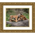 thumbnail image 1 of Galloimages Online 32x26 Gold Ornate Wood Framed with Double Matting Museum Art Print Titled - Malayan Tiger Cub: Priceless, 1 of 4