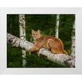 thumbnail image 1 of Galloimages Online 32x26 White Modern Wood Framed Museum Art Print Titled - Mountain Lion On Forest Log, 1 of 4
