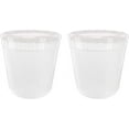 Gallon White Ice Cream Tub with Lid (2)