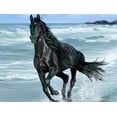 thumbnail image 1 of Galloping Horse Paint By Numbers, 1 of 9