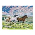 thumbnail image 1 of Paint By Number Kit 12 Inch X 16 Inch-Galloping Horses, 1 of 2