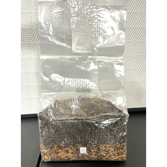 Galnut Manure Loving Premium 5 lb Mushroom All in One Grow Bag