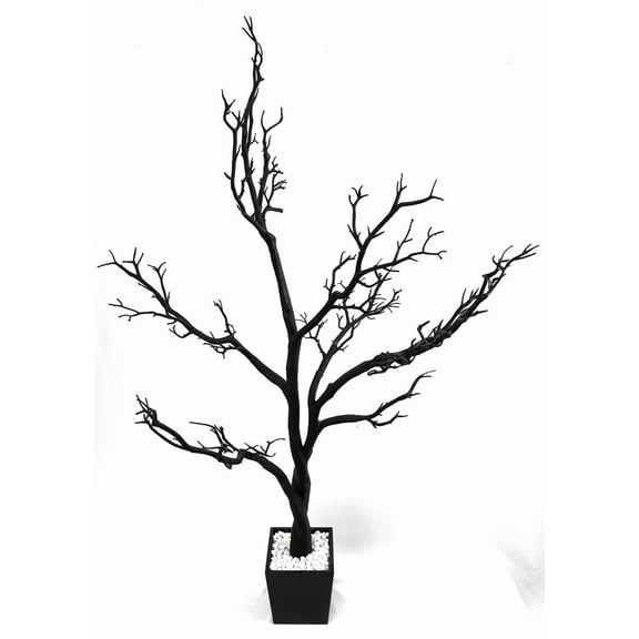 Galt International Manzanita Tree In Planter 4 ft