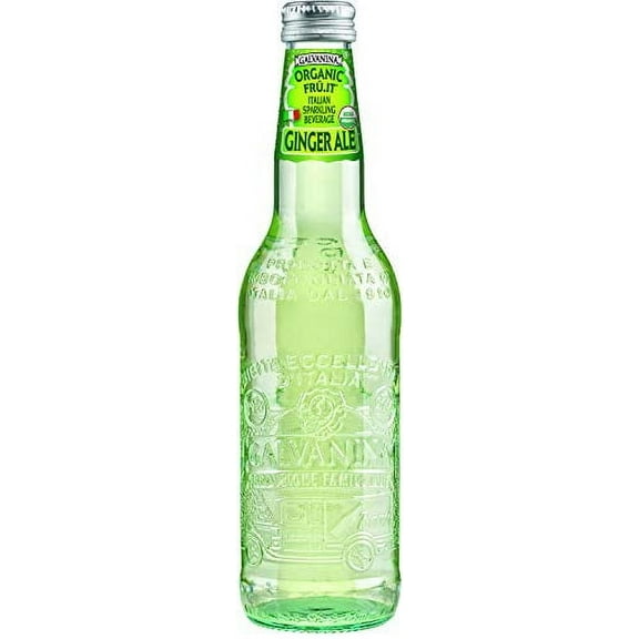 Galvanina - Ginger Ale - Premium Organic Italian Sparkling Soda - 12 fl oz (6 Glass Bottles)