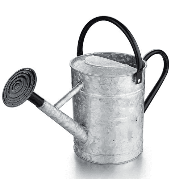 Galvanize Watering Can for Outdoor Indoor Plants, 1 Gallon Decorative Countryside Style Water Can with Re vable Spout, Perfect Metal Watering Can for Indoor Plants an Garden Flower