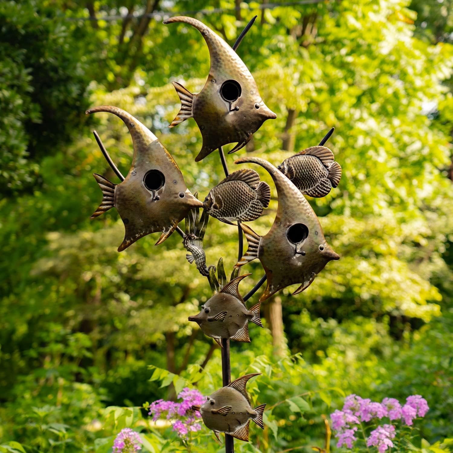 Beautiful view of Birdhouse Selling Information Air Fish