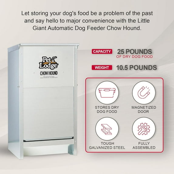 Galvanized Gravity Feeder for Dogs