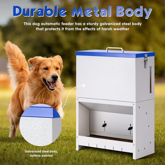 Galvanized Metal Automatic Cat Dog Feeder with Transparent Window for Indoor Outdoor Large Capacity Gravity Dispenser Blue