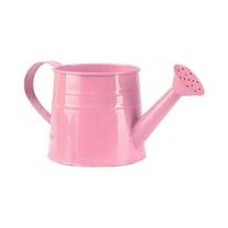 Galvanized Metal Watering Can - 1L Capacity, Powder Coat Finish, Dual Handles - for Indoor/Outdoor Plant Watering
